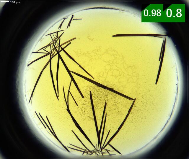 [Figure 3]