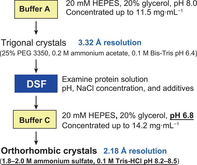 [Figure 1]