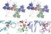 [Figure 10]