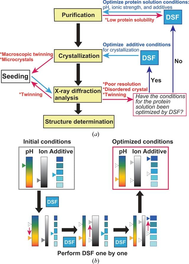 [Figure 11]