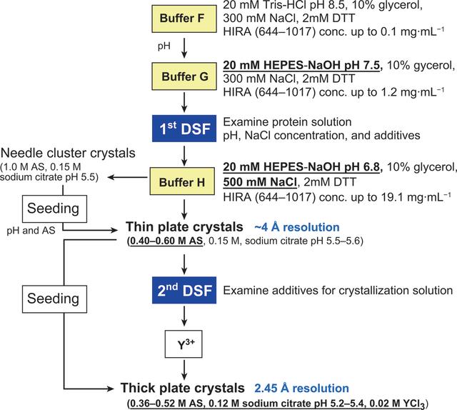 [Figure 5]