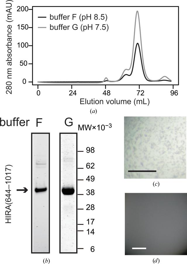 [Figure 6]