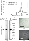 [Figure 6]