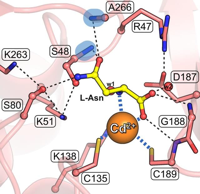 [Figure 10]