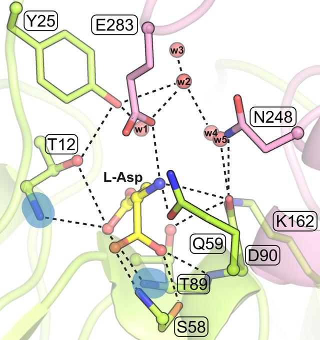 [Figure 7]