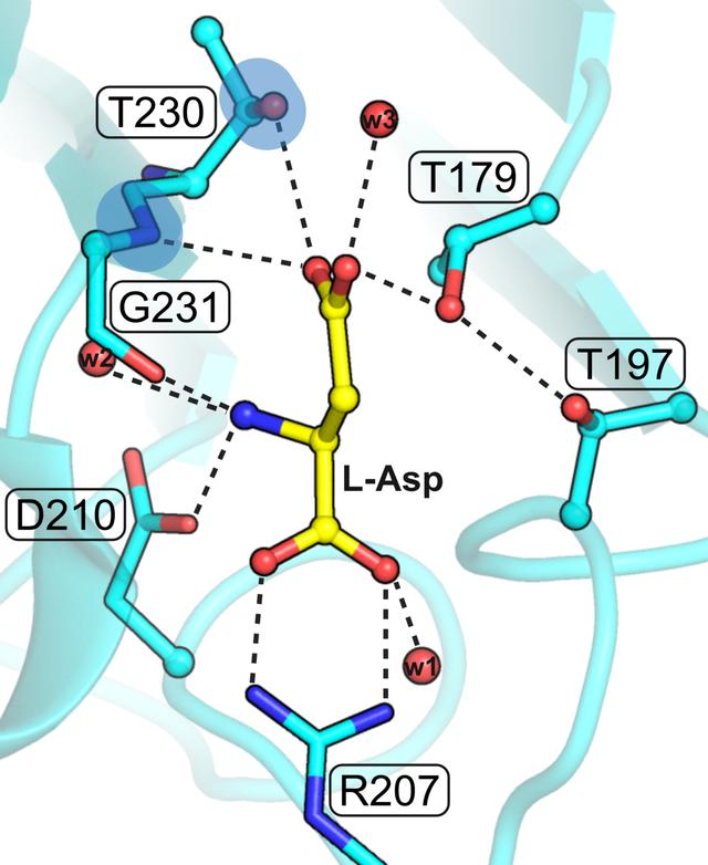 [Figure 9]