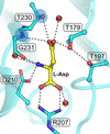 [Figure 9]