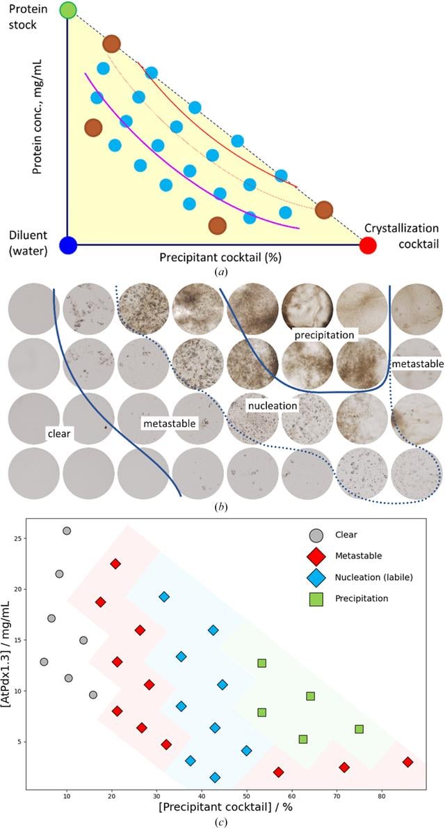 [Figure 1]