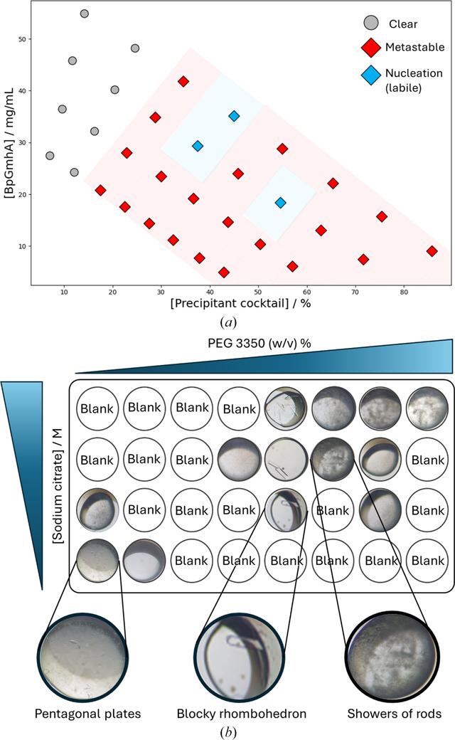 [Figure 2]