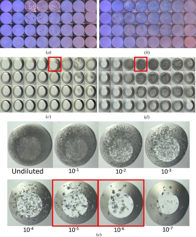 [Figure 3]