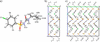 [Figure 4]