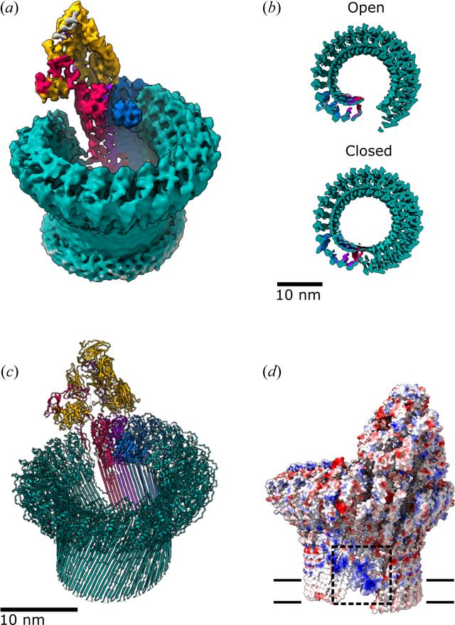 [Figure 2]