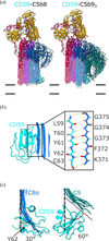 [Figure 4]