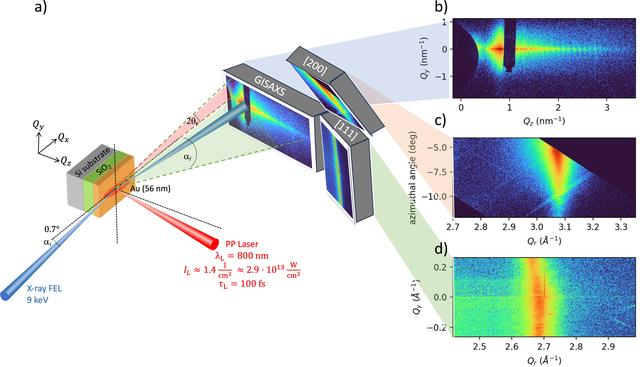 [Figure 1]