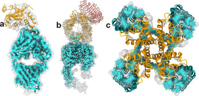 [Figure 1]