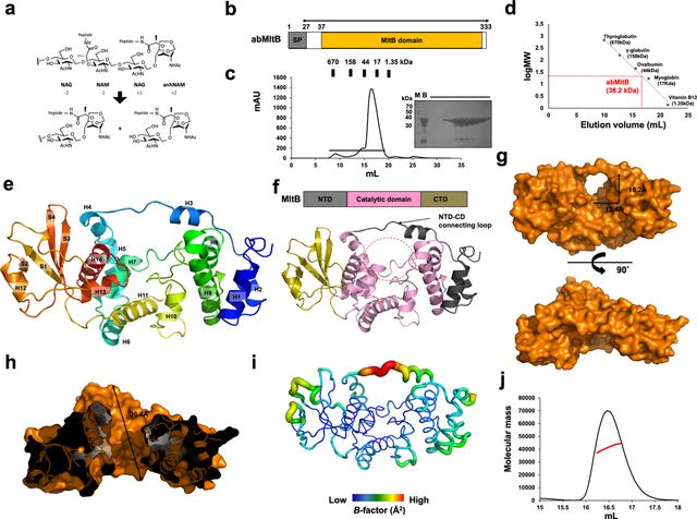[Figure 1]