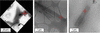 [Figure 2]