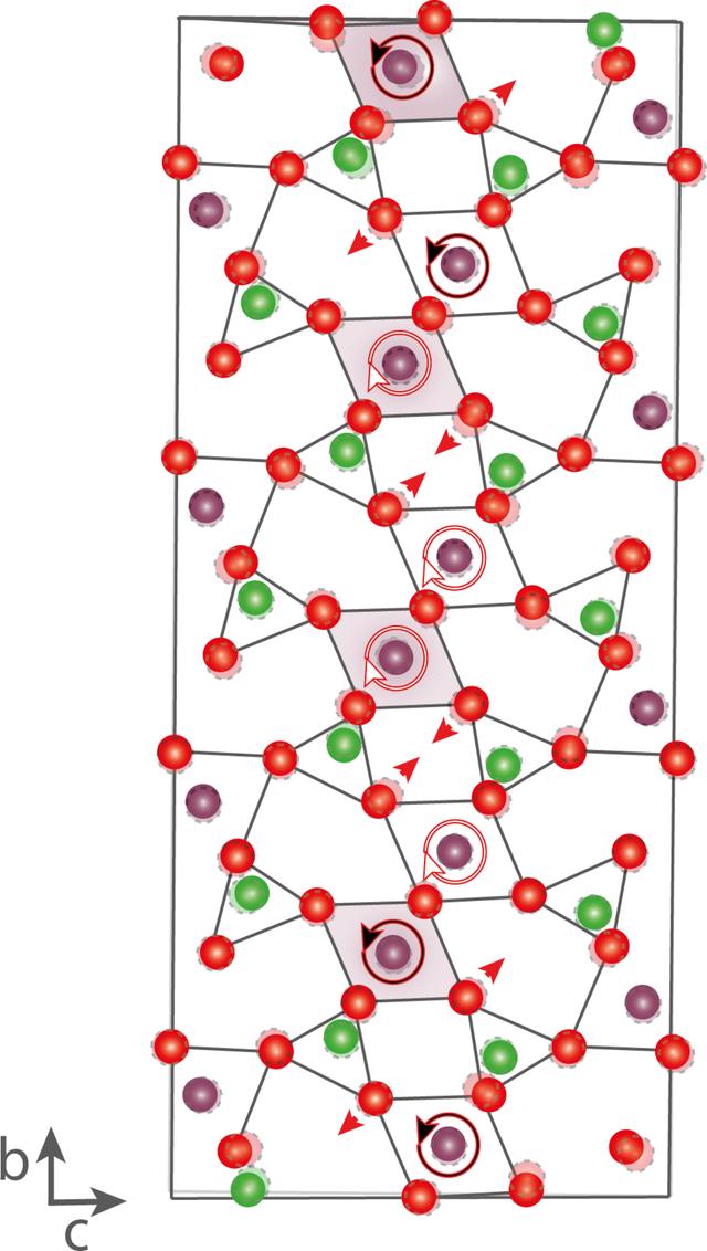 [Figure 8]