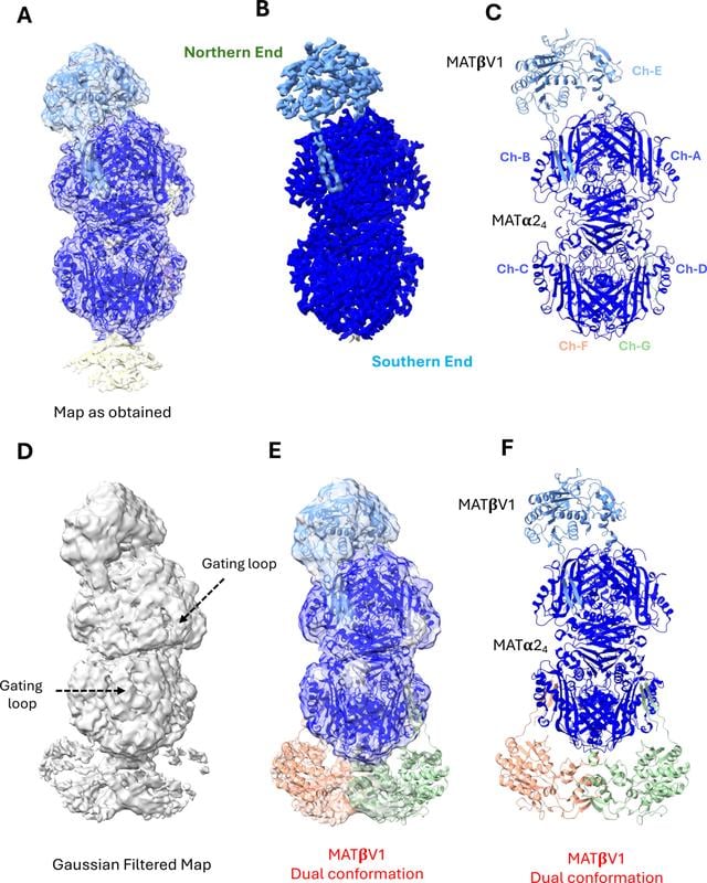 [Figure 1]