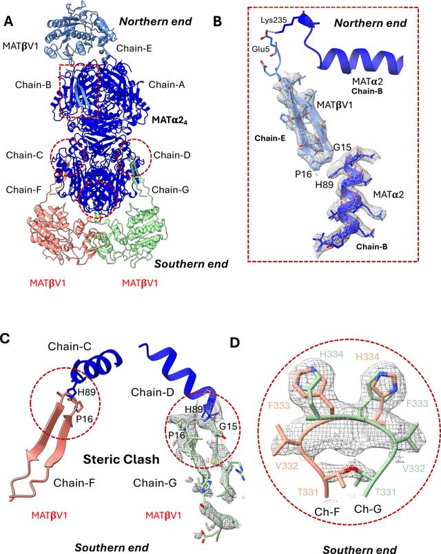 [Figure 2]