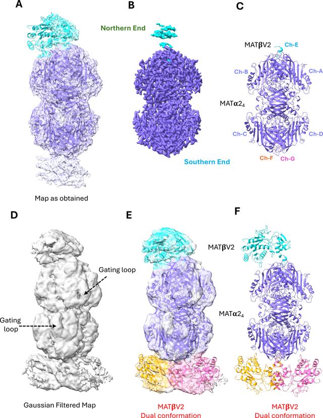 [Figure 4]