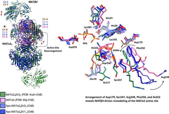[Figure 5]