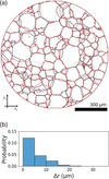 [Figure 4]