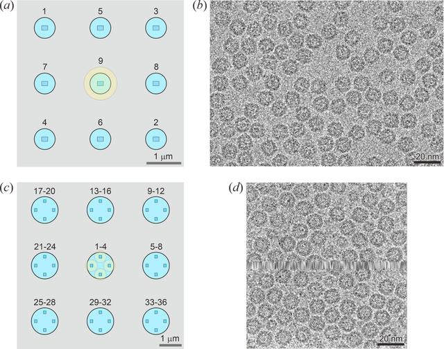 [Figure 4]