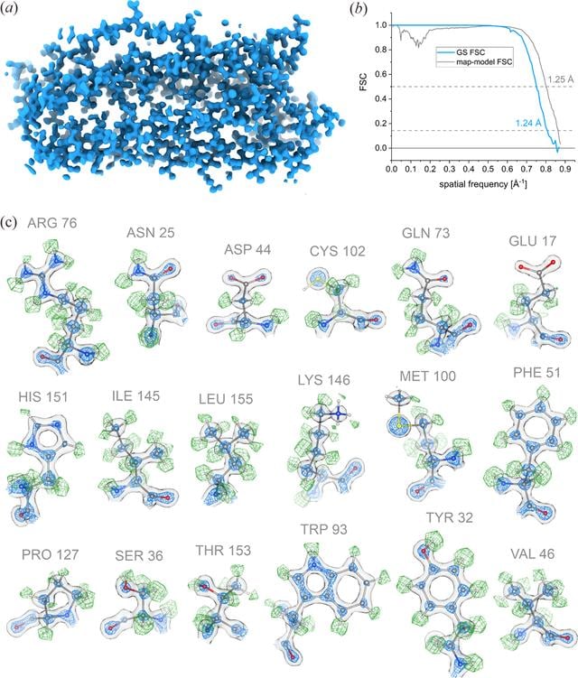 [Figure 5]