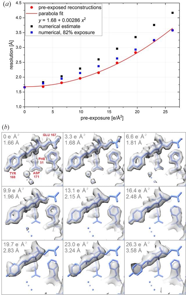 [Figure 7]