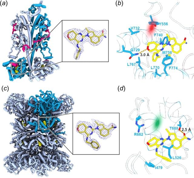 [Figure 1]