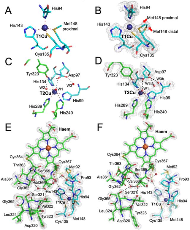 [Figure 1]