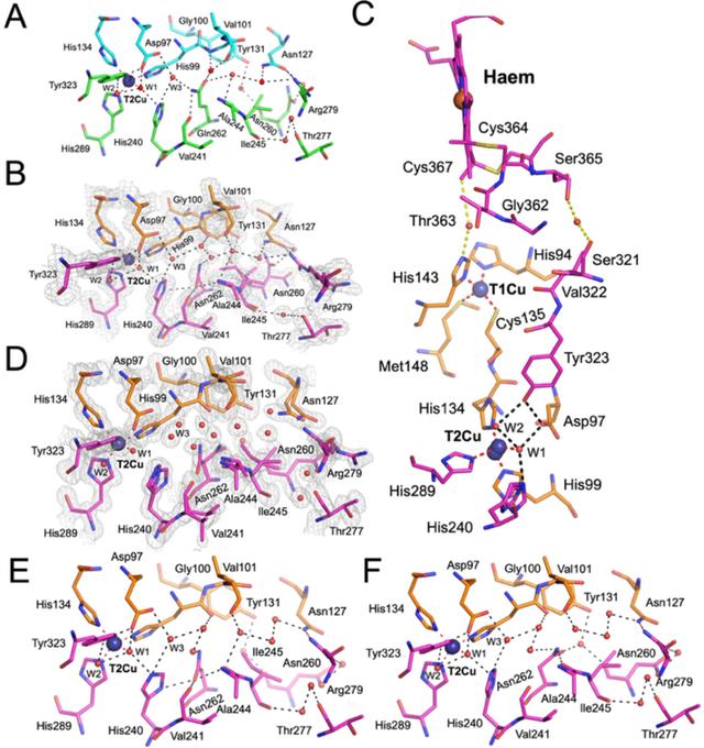 [Figure 5]