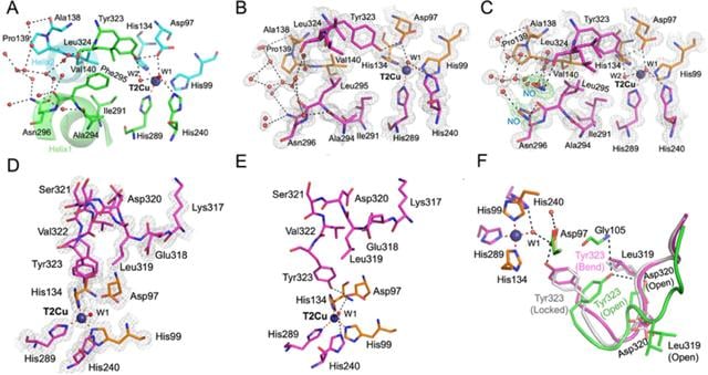 [Figure 6]