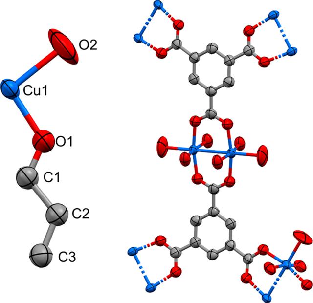 [Figure 10]