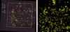 [Figure 6]