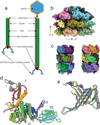 [Figure 1]
