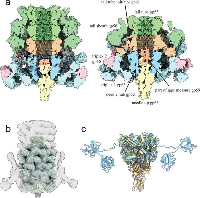 [Figure 3]