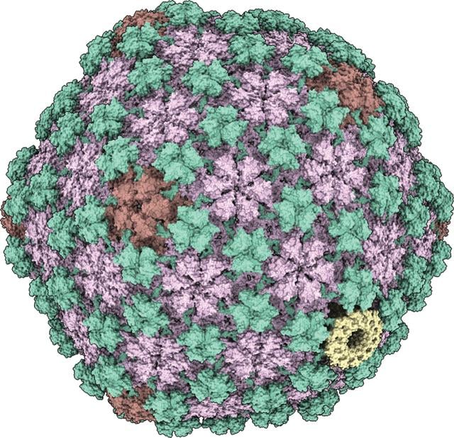 [Figure 4]