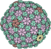 [Figure 4]