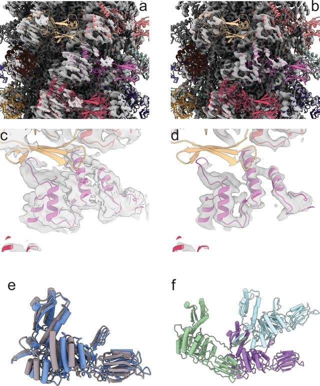 [Figure 5]
