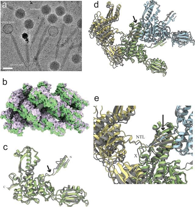 [Figure 6]