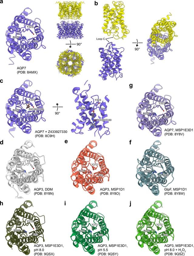 [Figure 5]