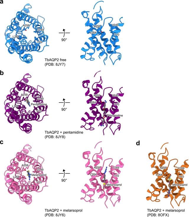 [Figure 6]