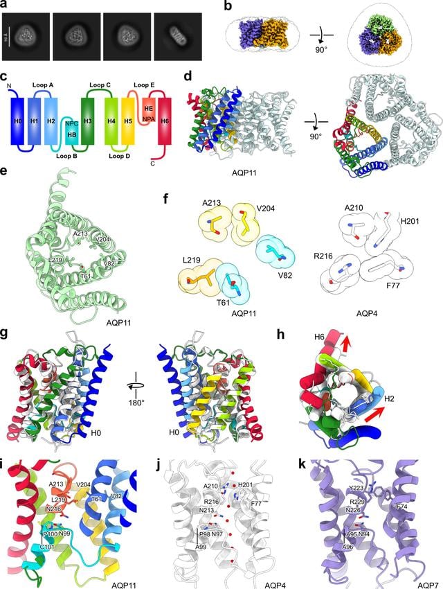 [Figure 7]