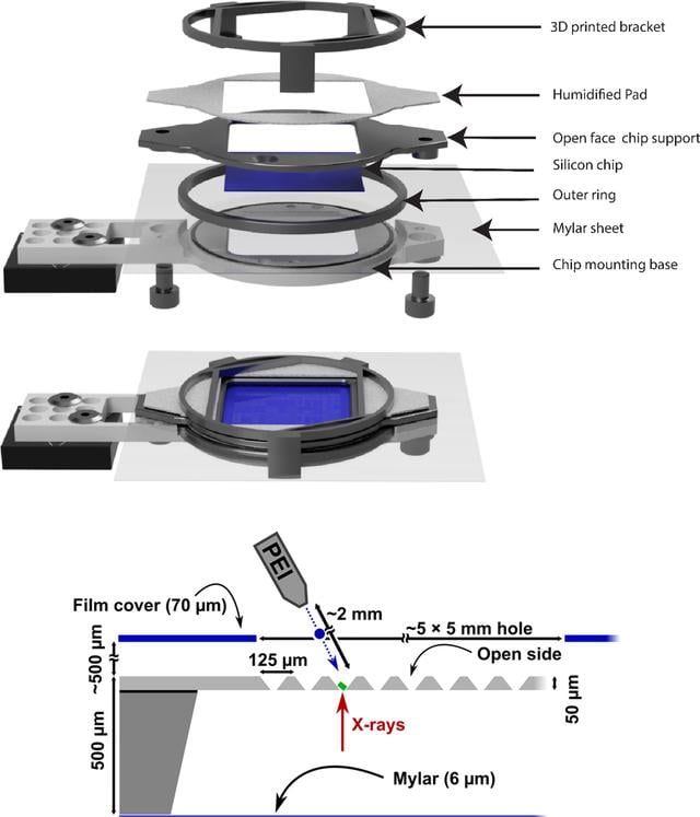 [Figure 1]