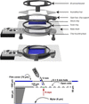 [Figure 1]