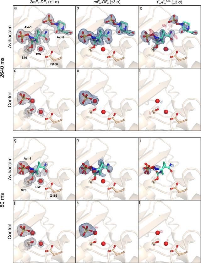 [Figure 4]