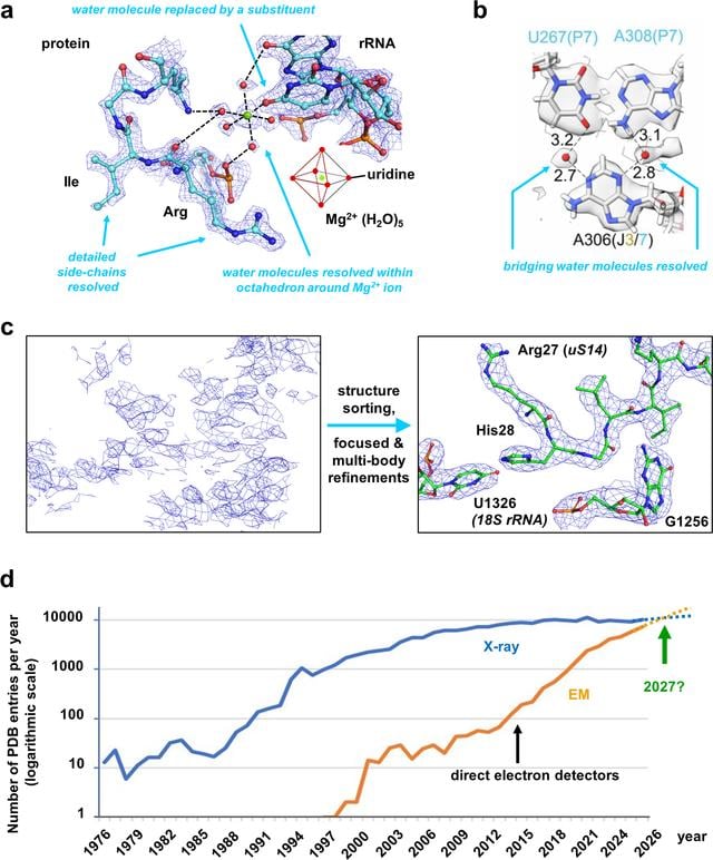 [Figure 1]