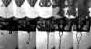 [Figure 4]